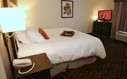 Hampton By Hilton Saskatchewan 3*